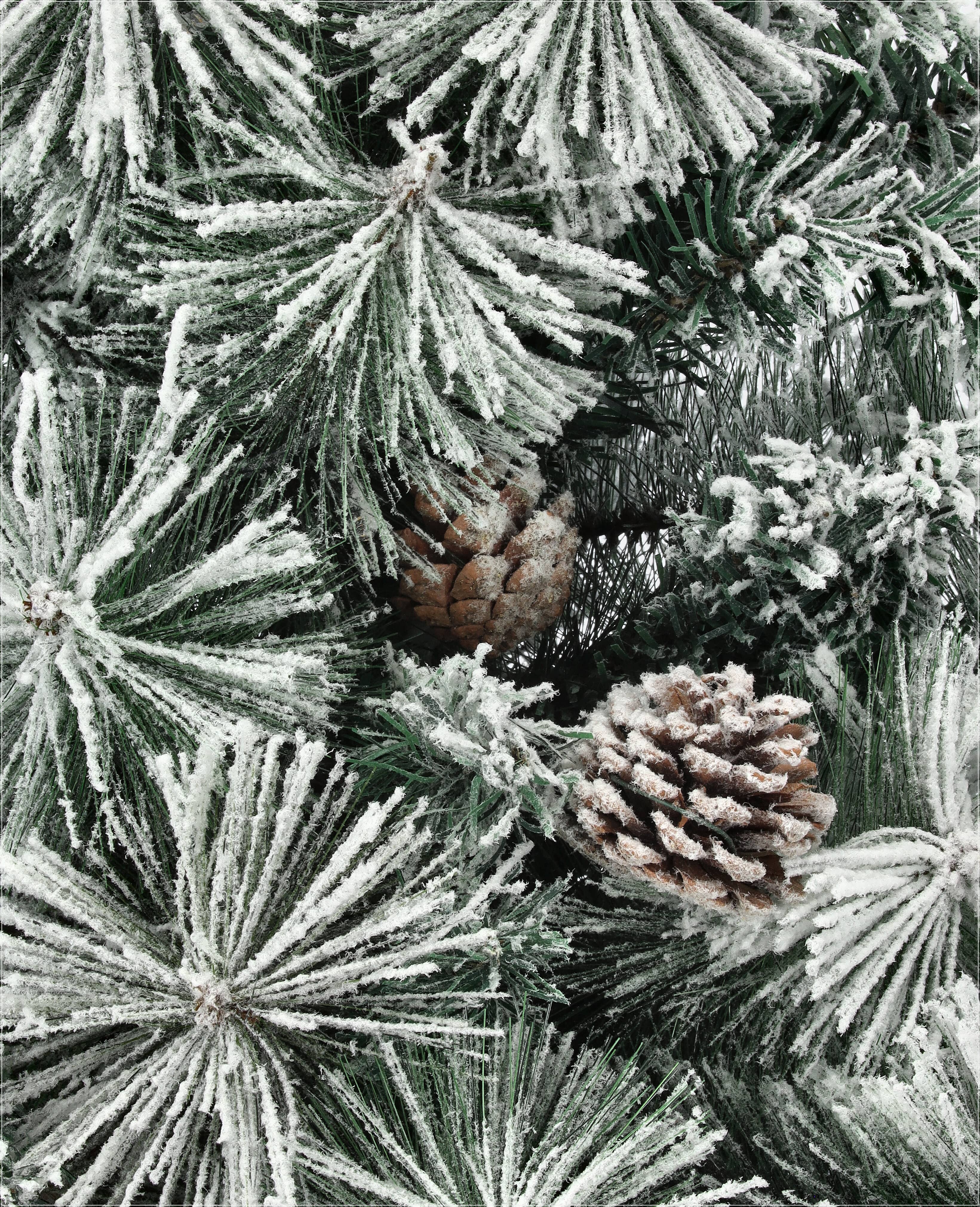 Emerald rosemary
