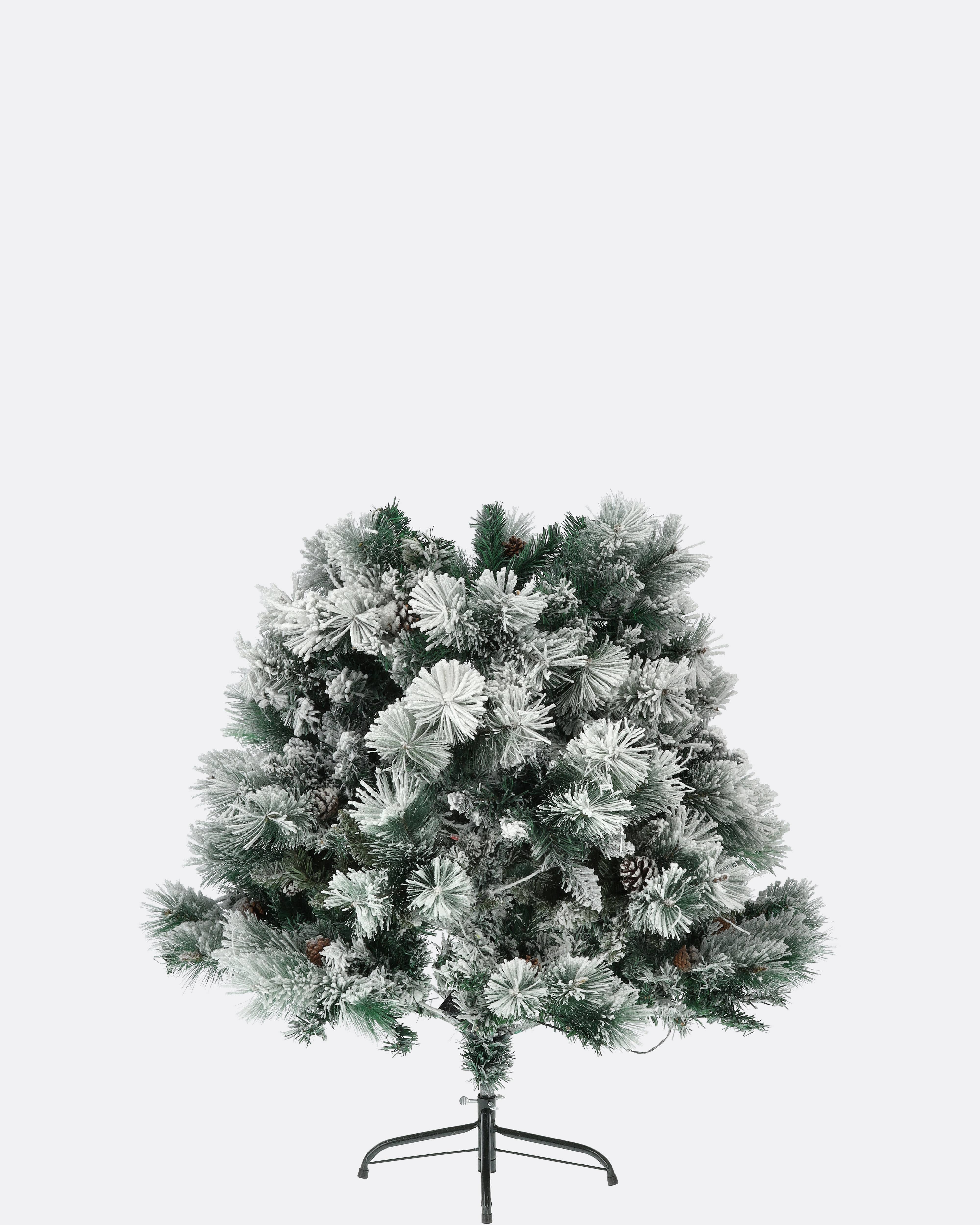Emerald rosemary