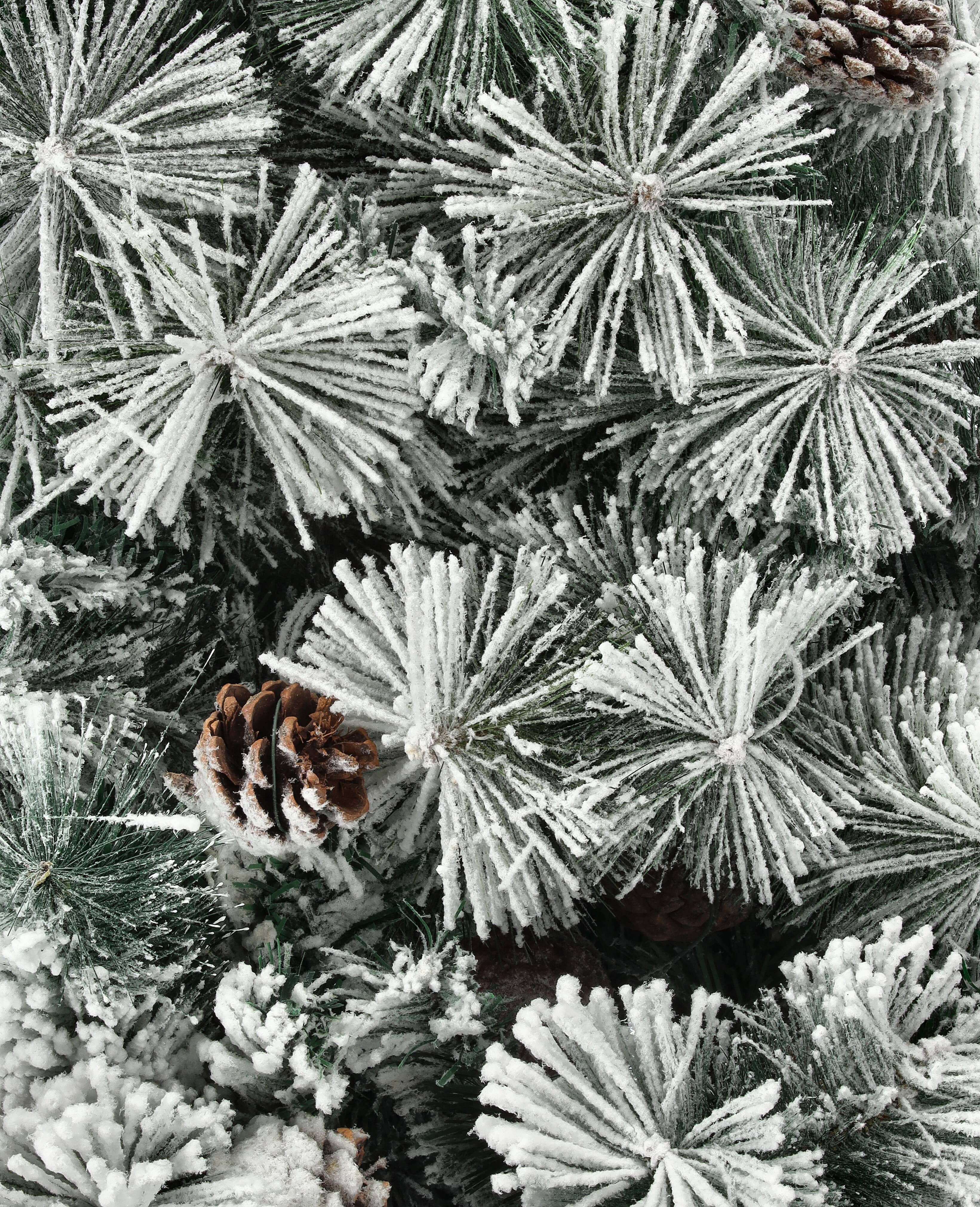 Emerald rosemary