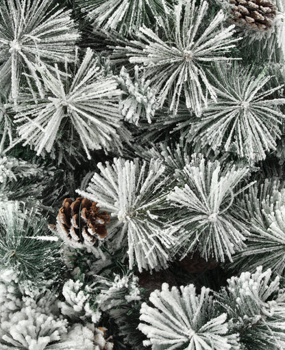 Emerald rosemary